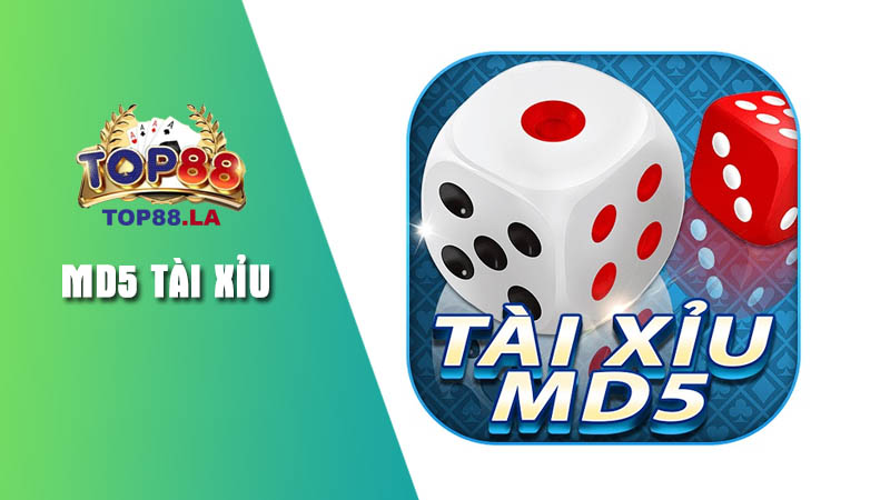 Tìm hiểu trò chơi MD5 Tài Xỉu