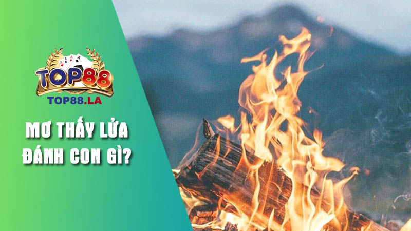 Ý nghĩa giấc mơ thấy lửa theo Top88